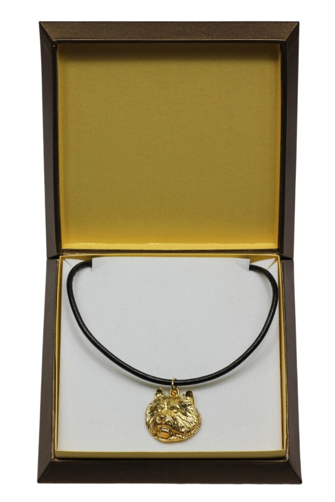 Norwich Terrier - Dog Collar In Gift Box, Gold-Plated Pendant For Dog