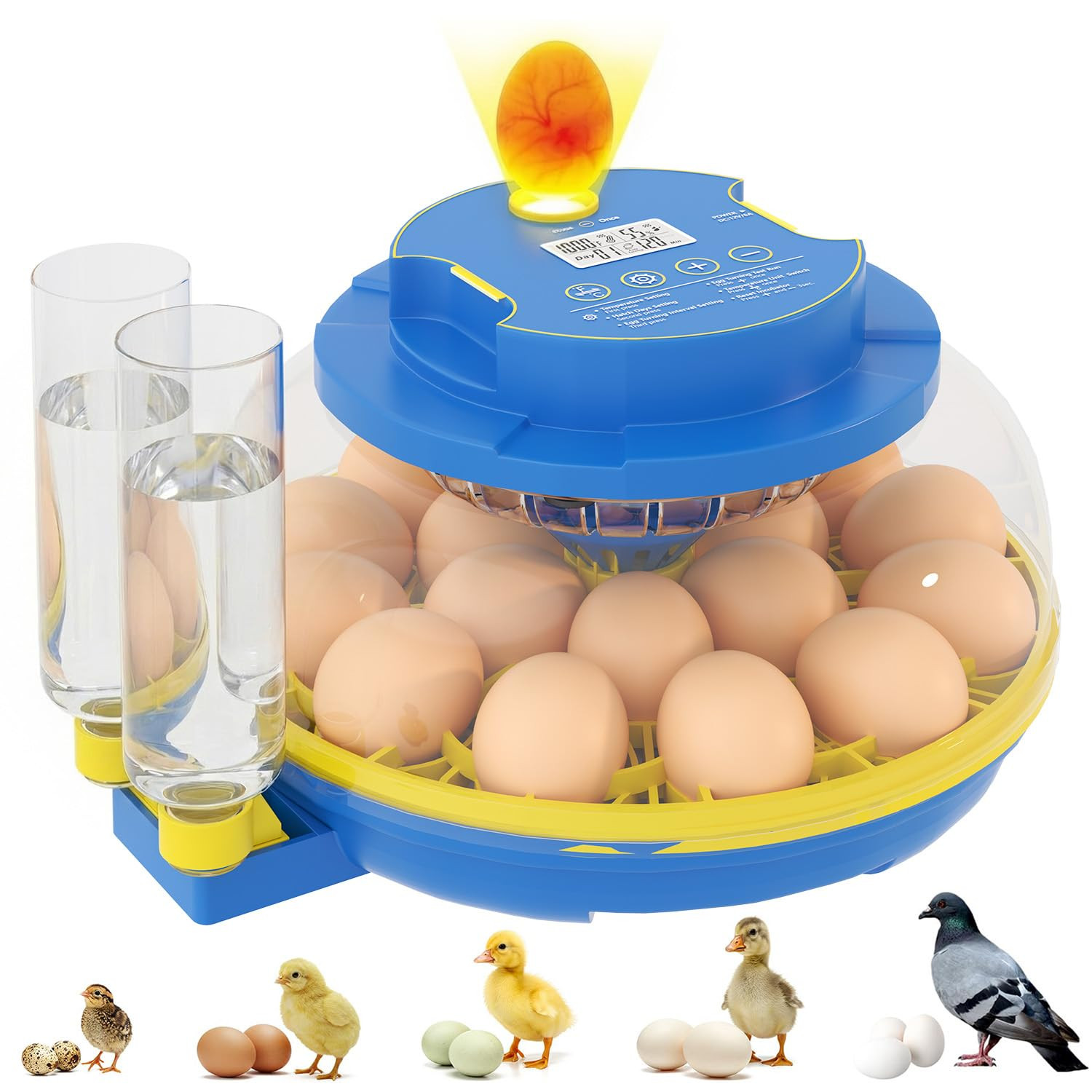 Chicken Egg Incubators for Hatching Eggs, 18 Egg Incubator with Automatic Egg Tu