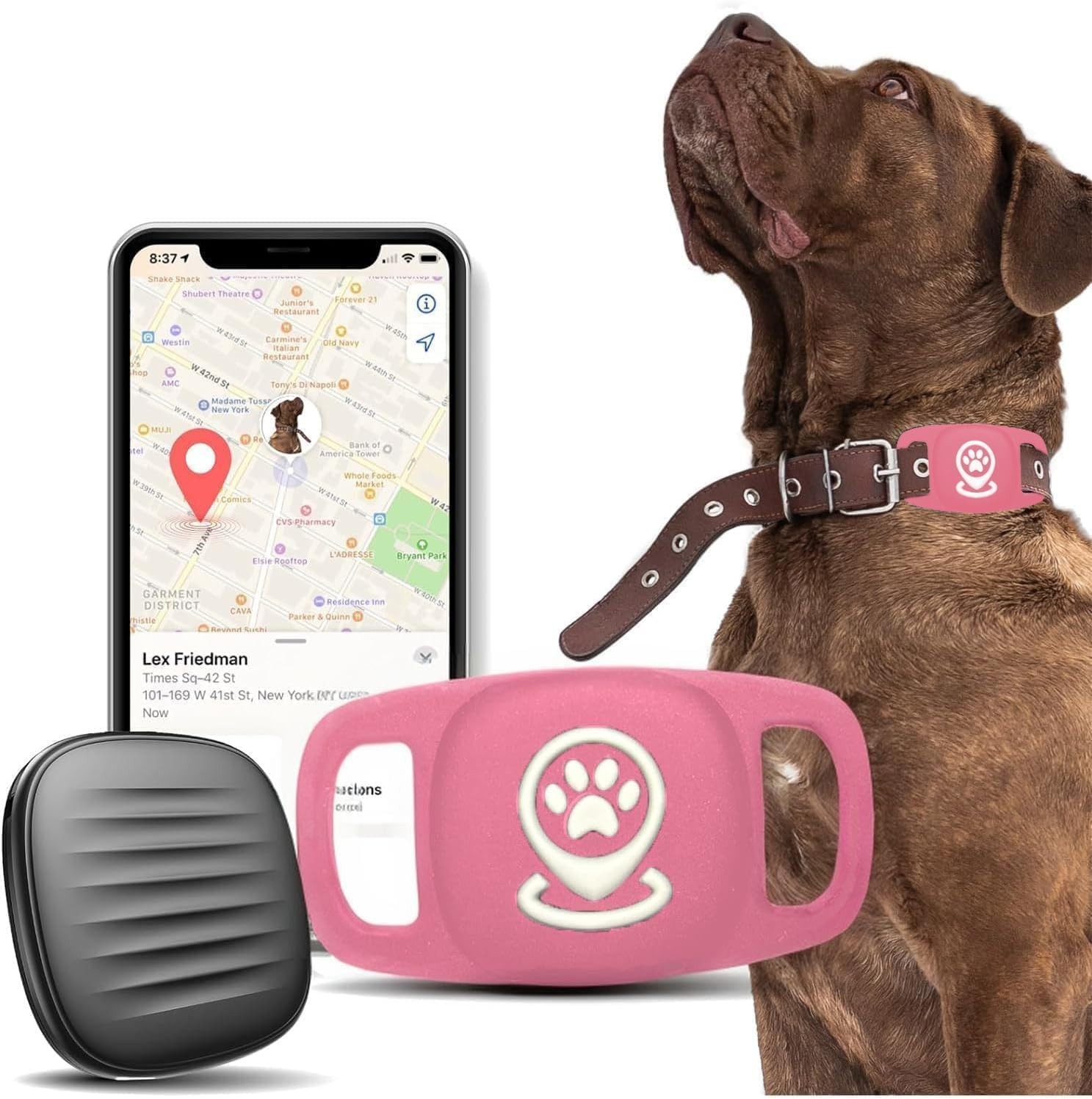 Pet Tracker for Dog, Tracker Smart Pet Location Tracker with Holder, Personal...