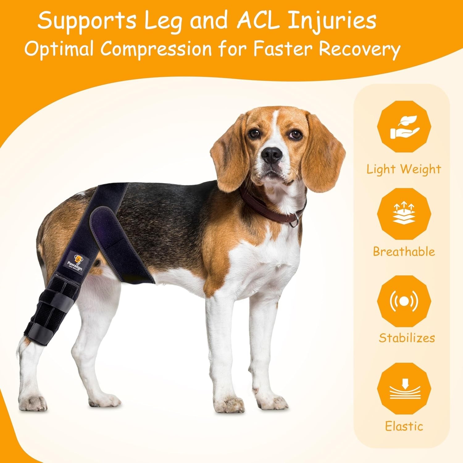 Pawalign Dog Knee Brace Back & Front Support Black Small