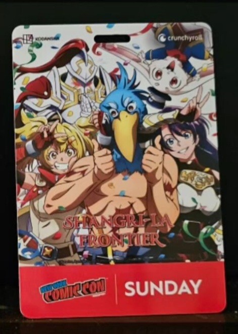 NEW YORK COMIC CON NYCC 2024 SUNDAY PASS / BADGE / TICKET