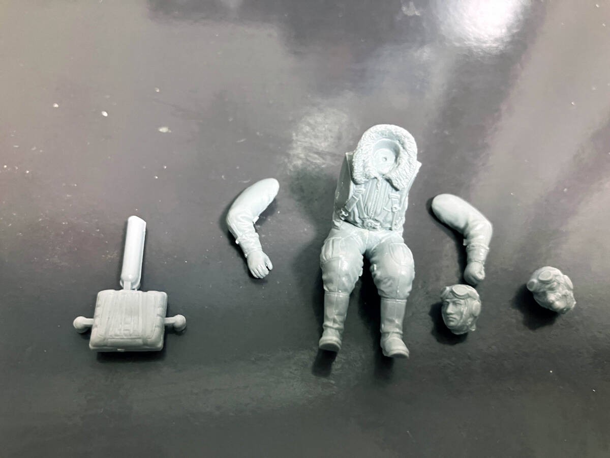 [Figure] Hasegawa 1/32 ST28 Feiyan Pilot