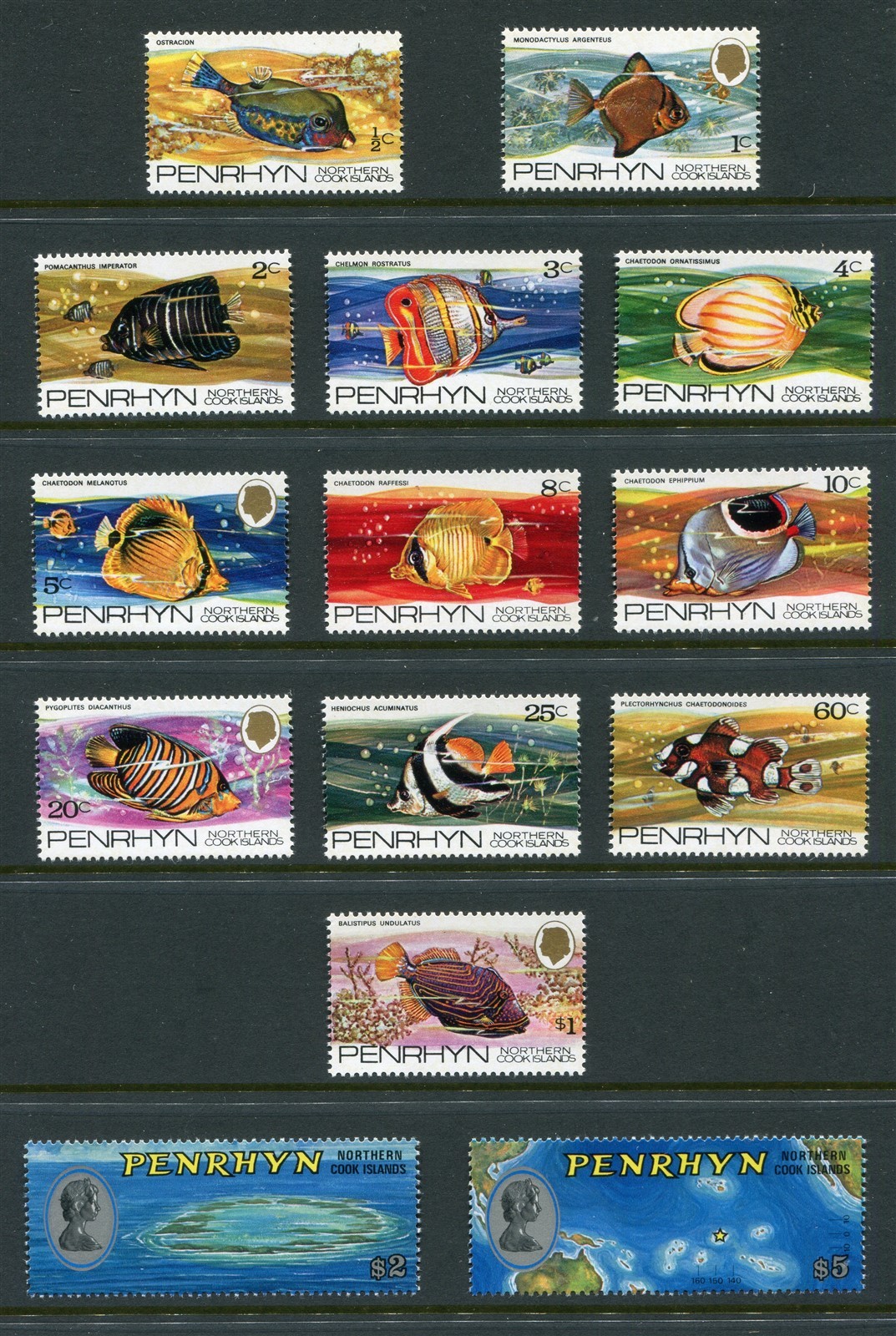 Penrhyn #50-63 Fish Complete Set [Mint Never Hinged]