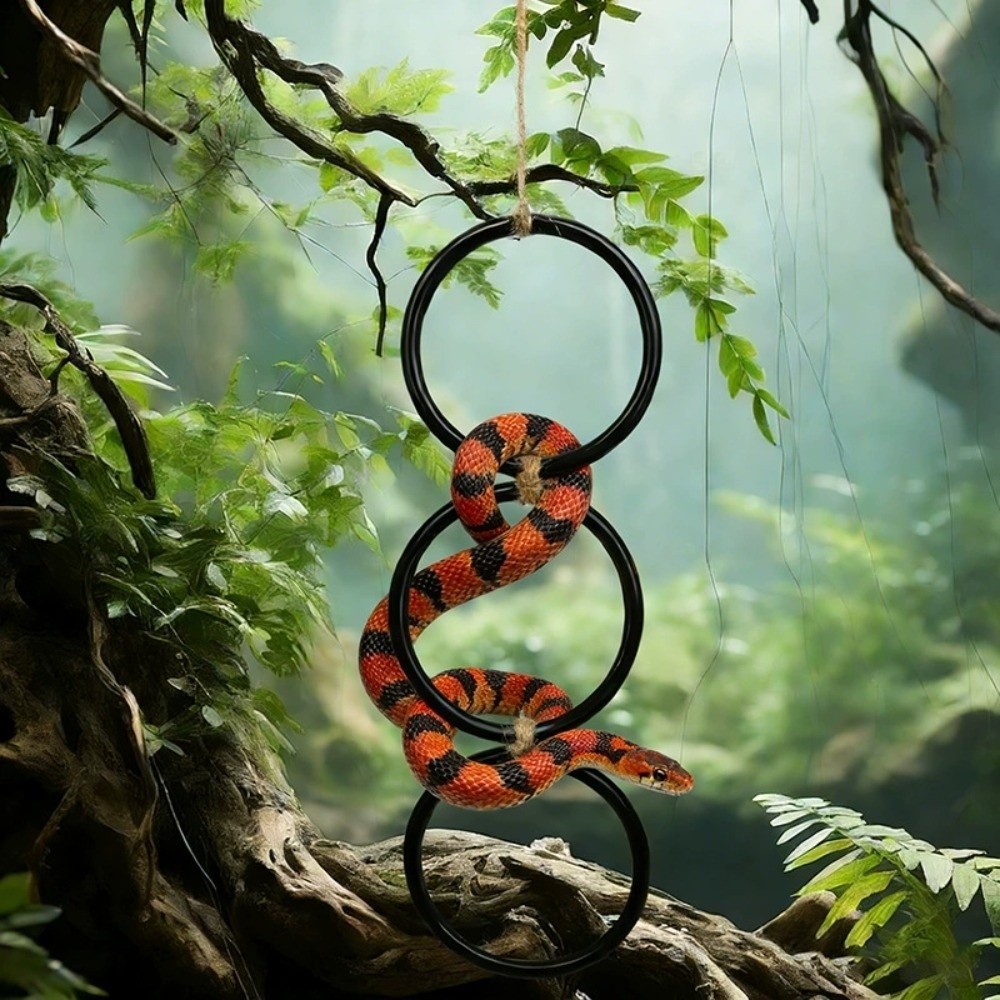 Suction Cup Rings Swing Perch with Rope Snake Enrichment Toys  Geckos