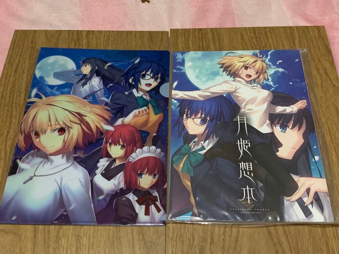 TYPE-MOON Tsukihime Souhon Clear File Set