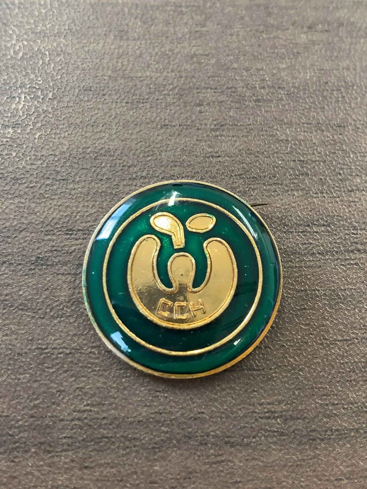 China Asia Winter Games Harbin '96 Pins Pin Badge[E14850]8e4