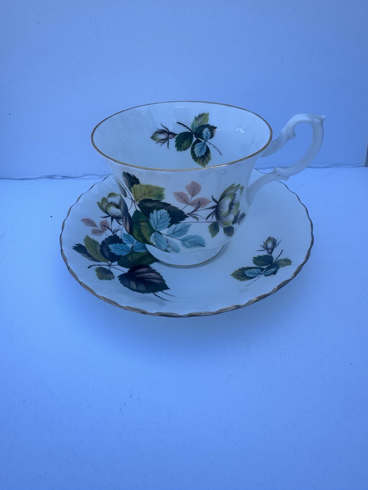 Royal Albert Bone China Fall Leaves & Camellia Montrose Style Cup & Saucer