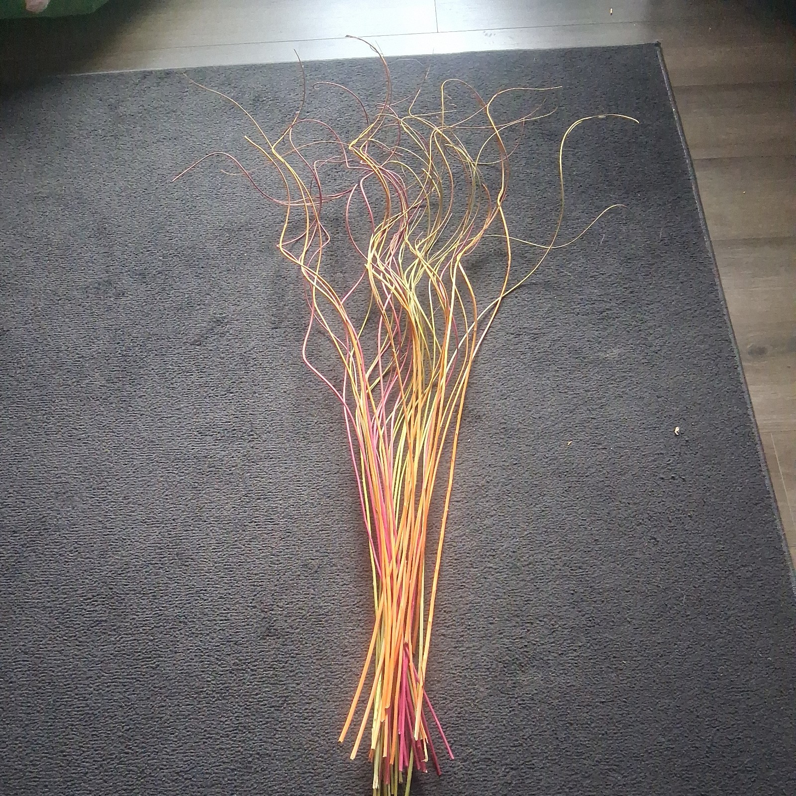 Curly Willow Tall Branches 8 Pink 13 Green and 12 Orange Branches Aprox 45 In