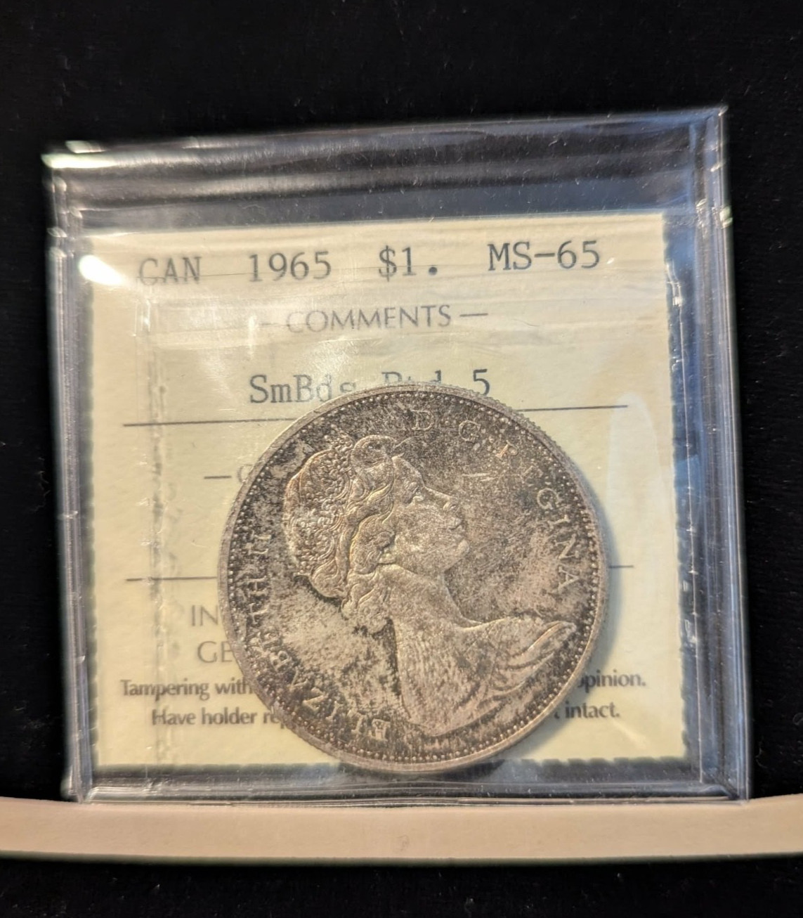 1965  T-1, SmBds/Ptd5, ICCS Graded Cndn Silver Dollar **MS-65 ** # XWG 981
