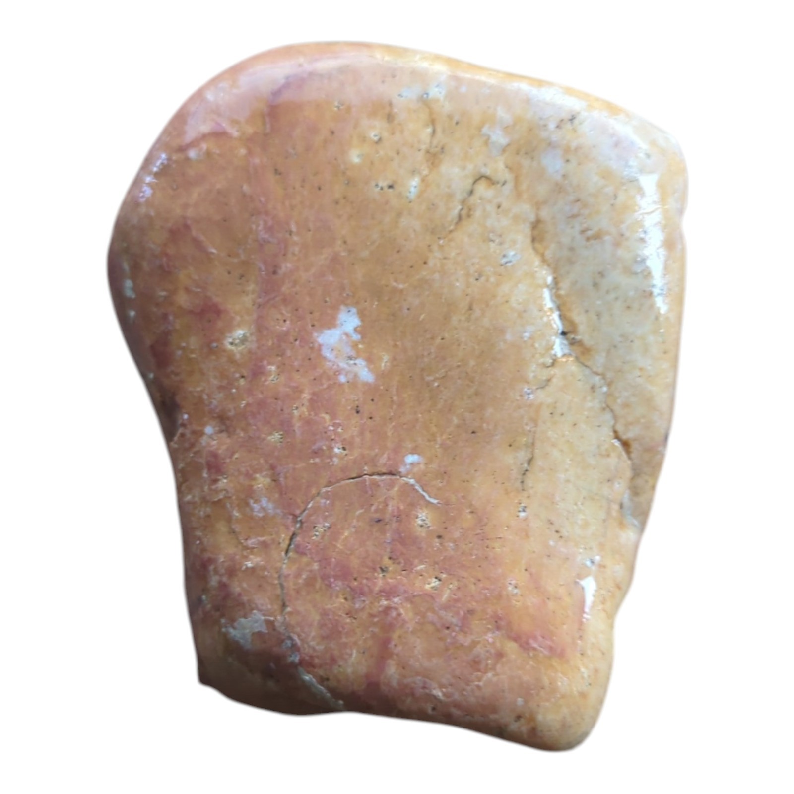 Terrarium furniture for reptiles and amphibians