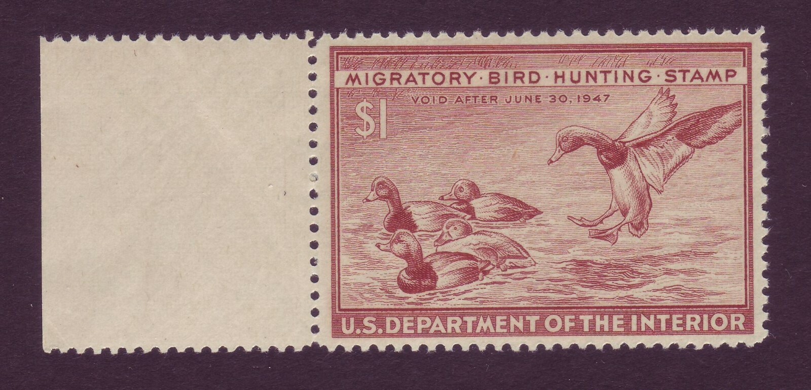 RW13 ( $1 Duck ) - A BEAUTY w SIDE SELVAGE - MNH !!