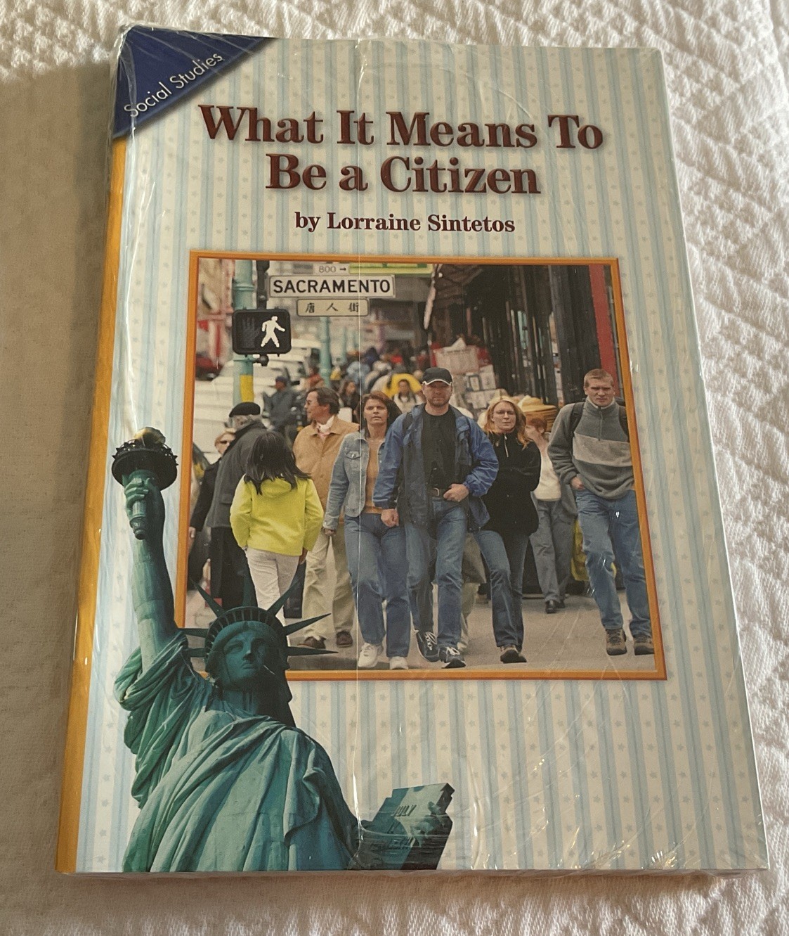 New Soc Studies Grade3 Homeschool Readers Pack/6 “What It Means To Be A Citizen”