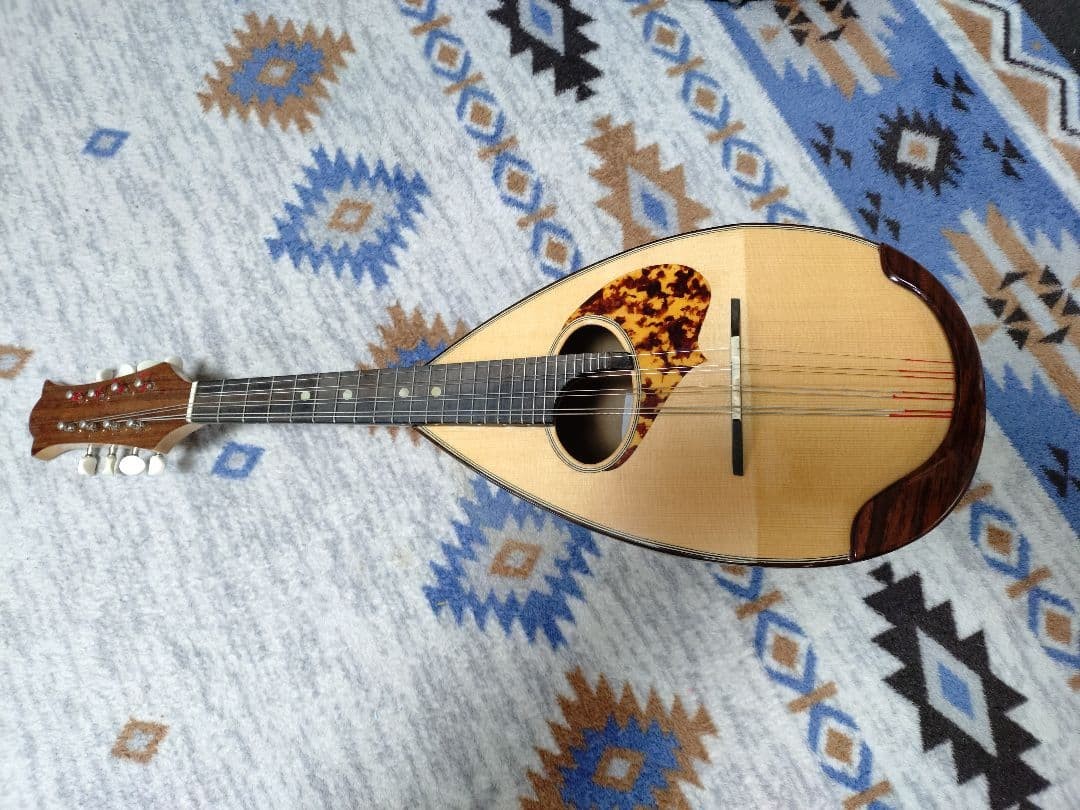 beautiful mandolin body