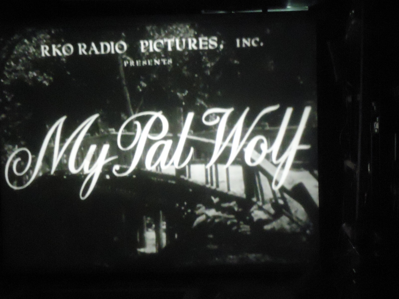 16mm My Pal Wolf Sharyn Moffett Grey Shadow Una O'Connor George Cleveland