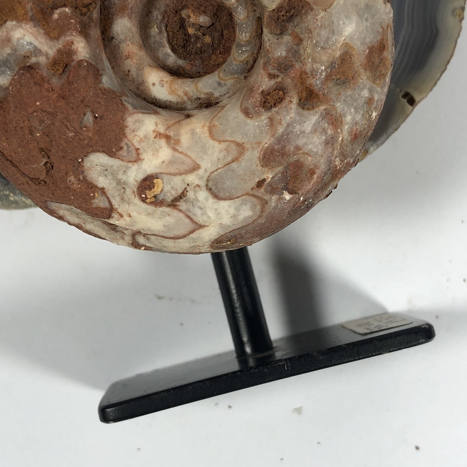 EXTRA STANDING FOR BUYER