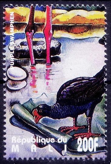Mali 1995 MNH, Birds, Purple swamphen