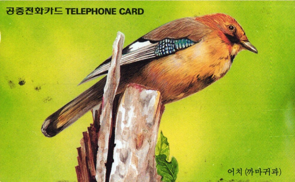 935 Phonecard Used South Korea Bird Jay