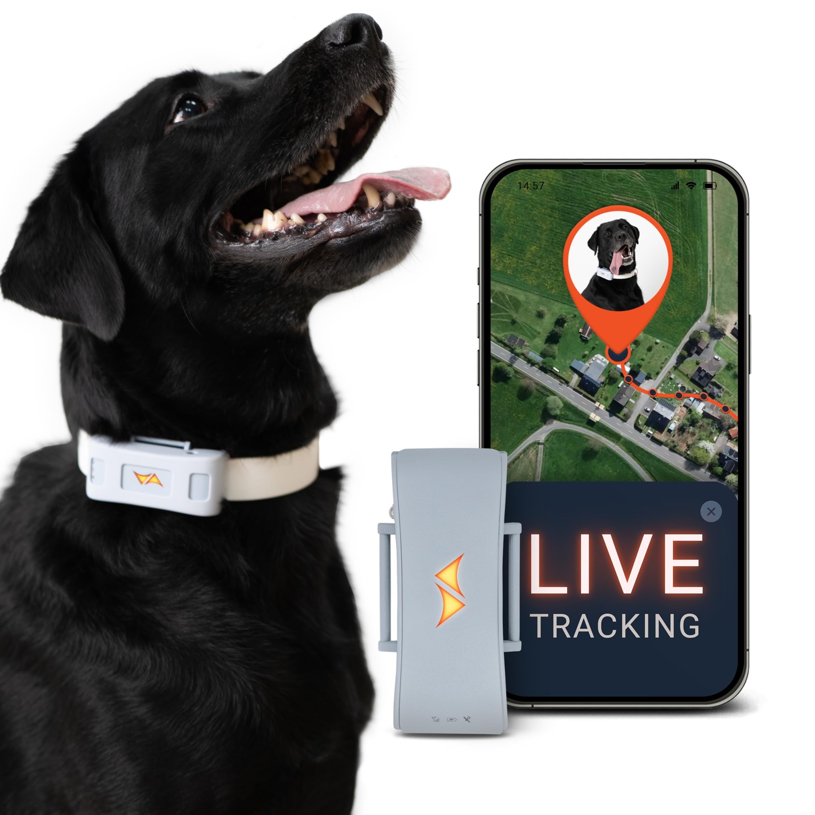 PAJ GPS Tracker for Dogs - 4G GPS Collar Tag with Real-Time Location Tracking...