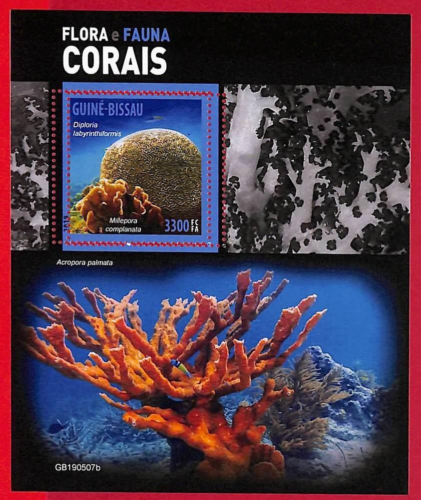 A5289 - GUINE-BISSAU - ERROR MISPERF Stamp Sheet - 2019 - Corals, Fauna&Fauna
