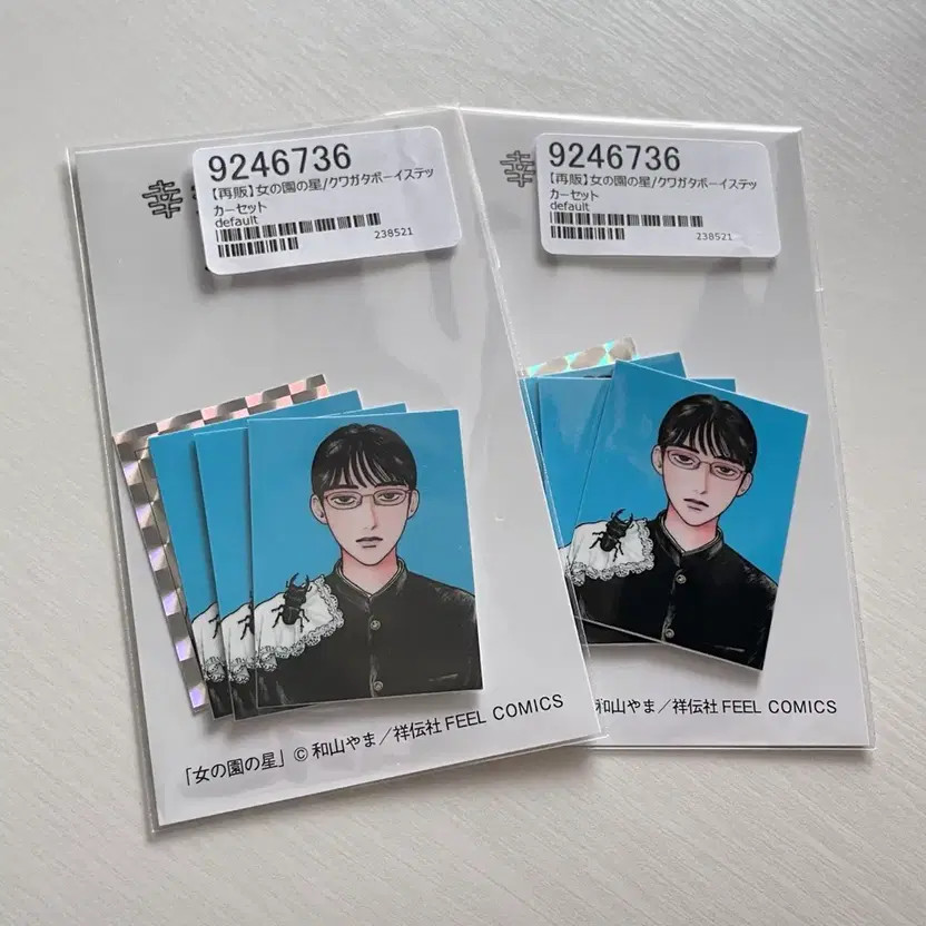 Unopened School Girl Hoshi Lucky Beetle Sticker Transfer