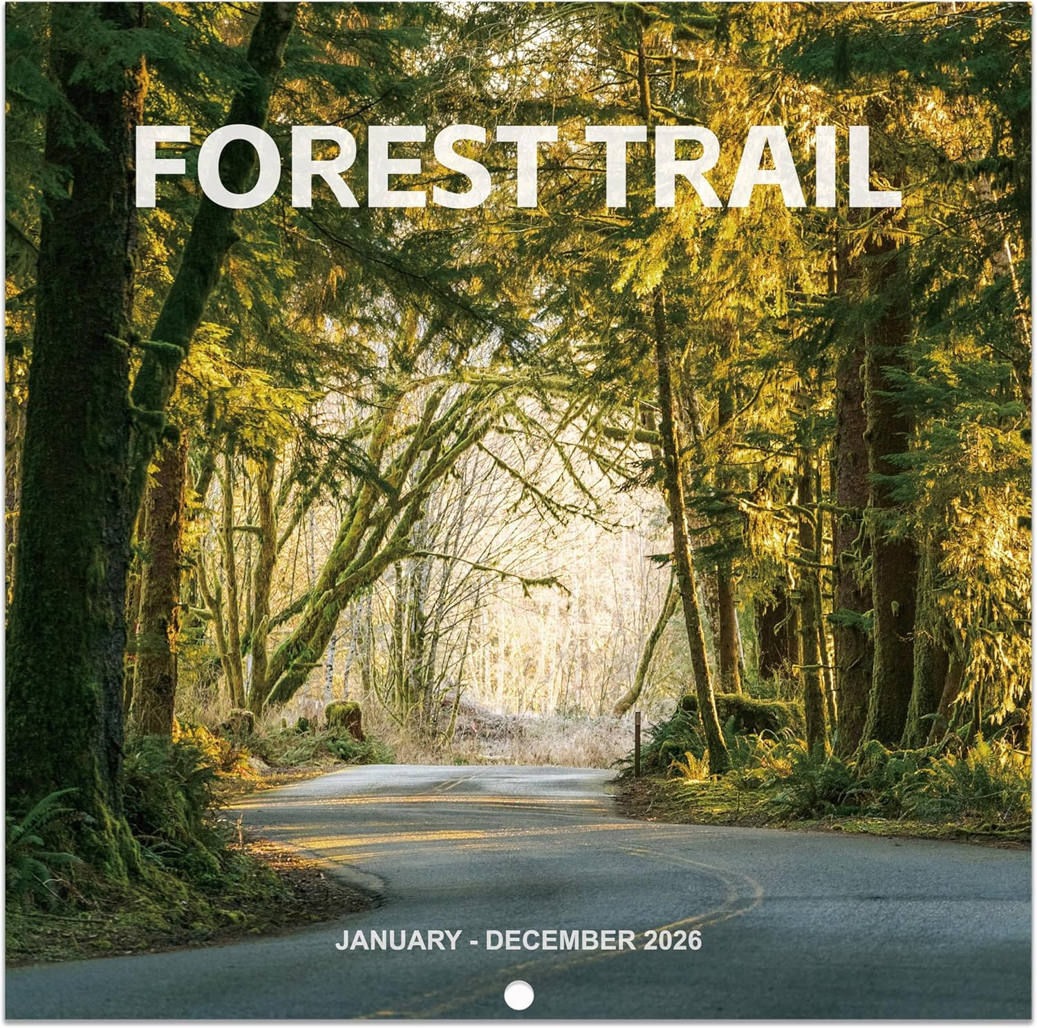 2026 Calendar - 2026 Wall Calendar 12 months from Jan. 2026 - Dec. 2026, 12" x 2