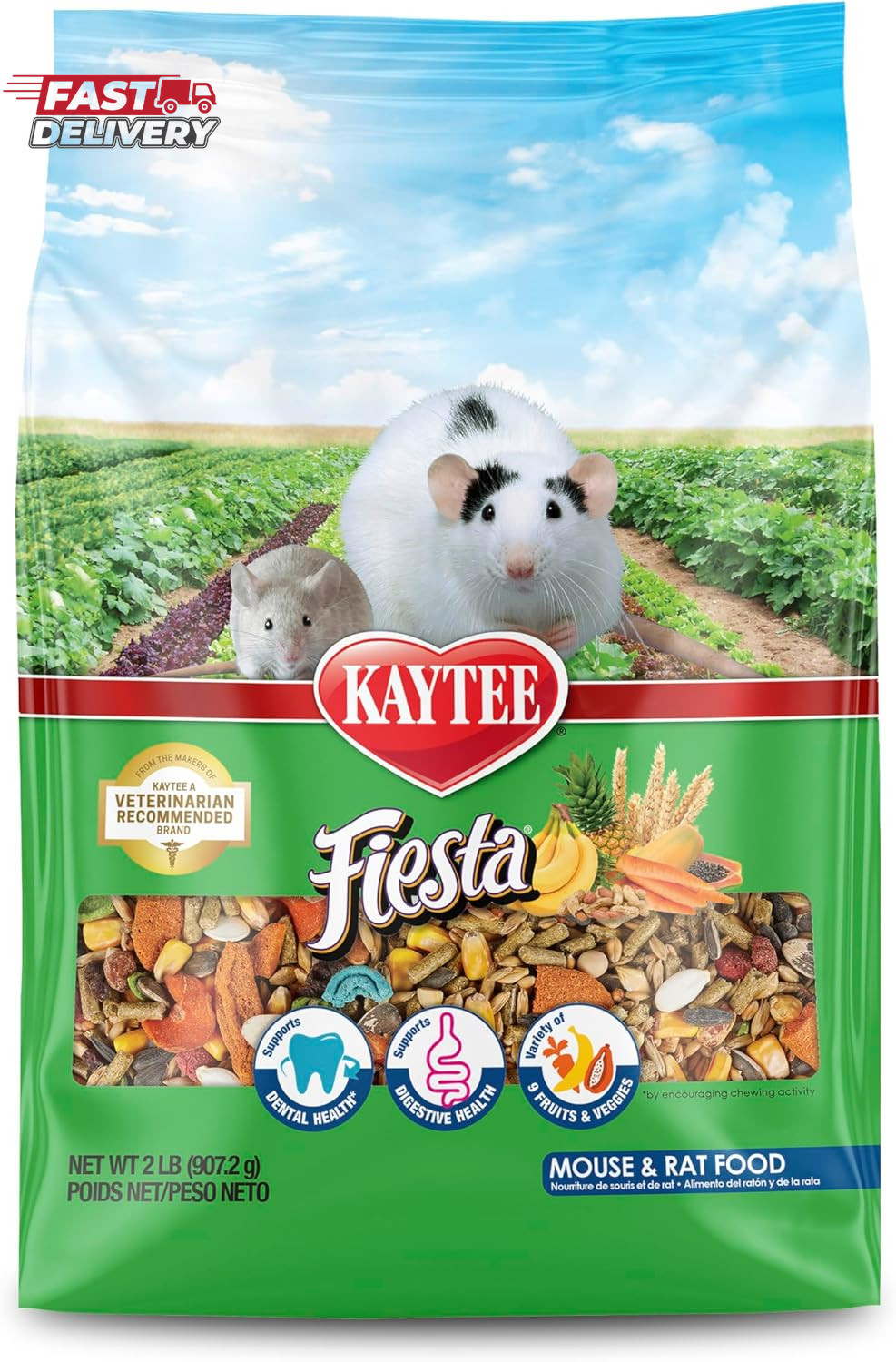 Kaytee Fiesta Mouse & Rat Food, Nutritious and Fun Blend, Supports Dental Health