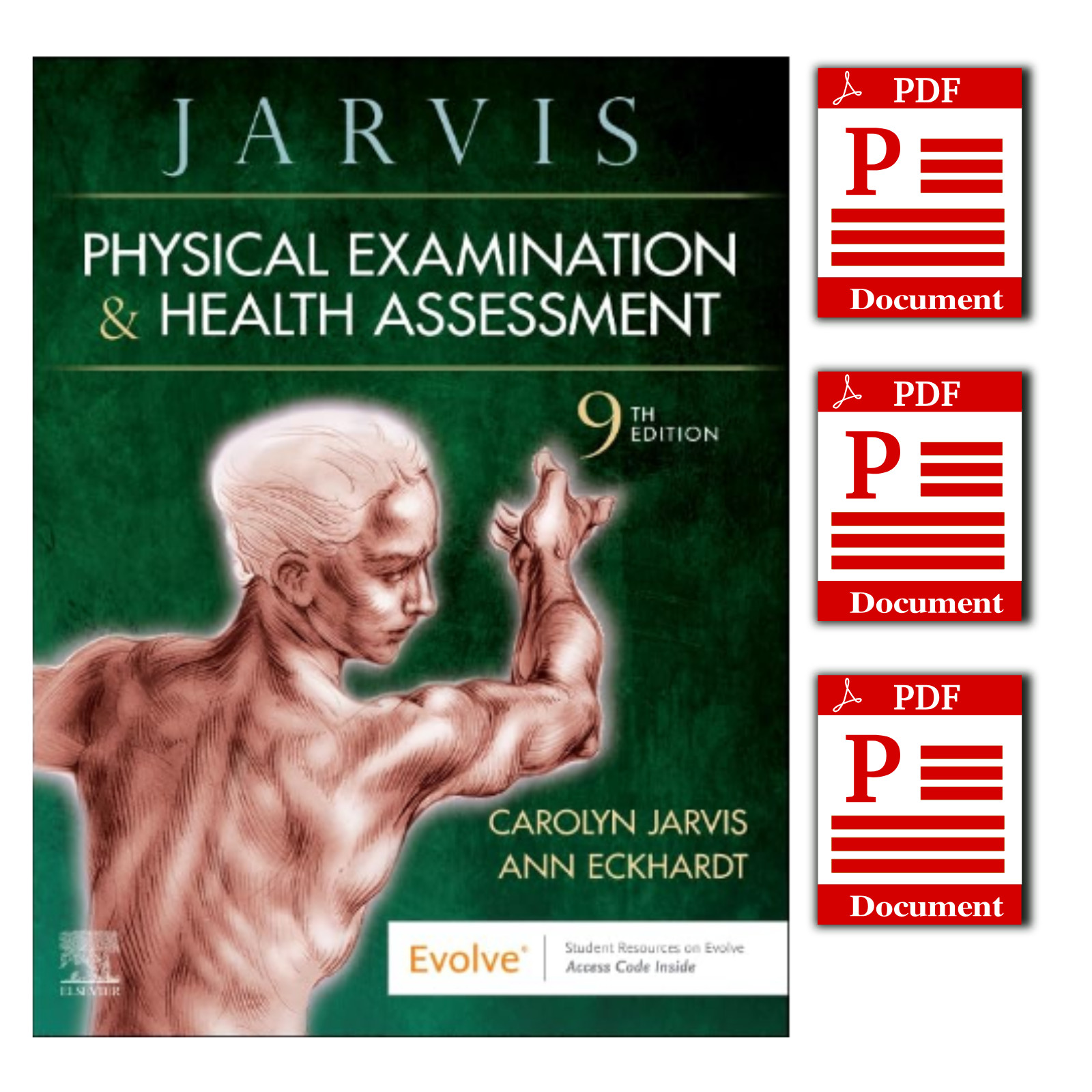 Physical Examination and Health Assessment 9th Edition