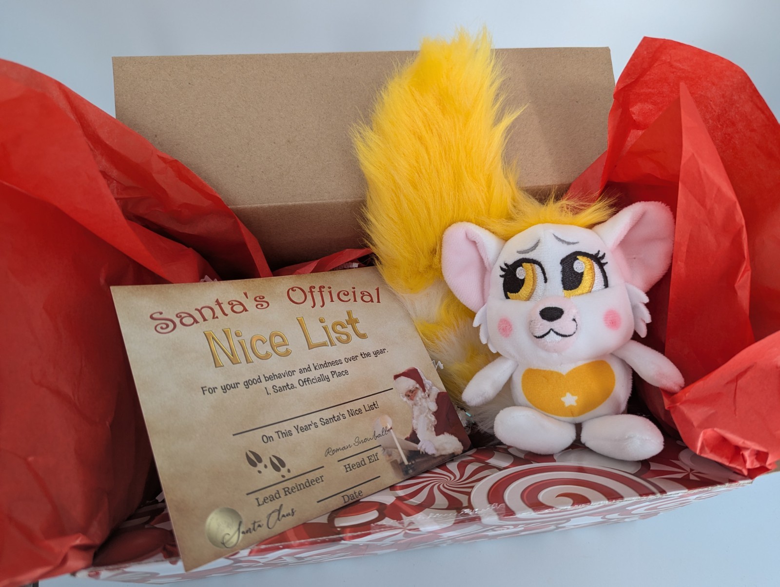 personalized Nice Certificate from Santa Clause & Christmas 🎄  Plush Gift