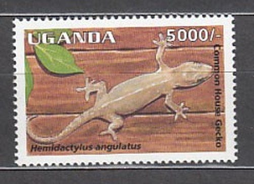 Uganda - Mail Yvert 1329 ** Mnh Fauna