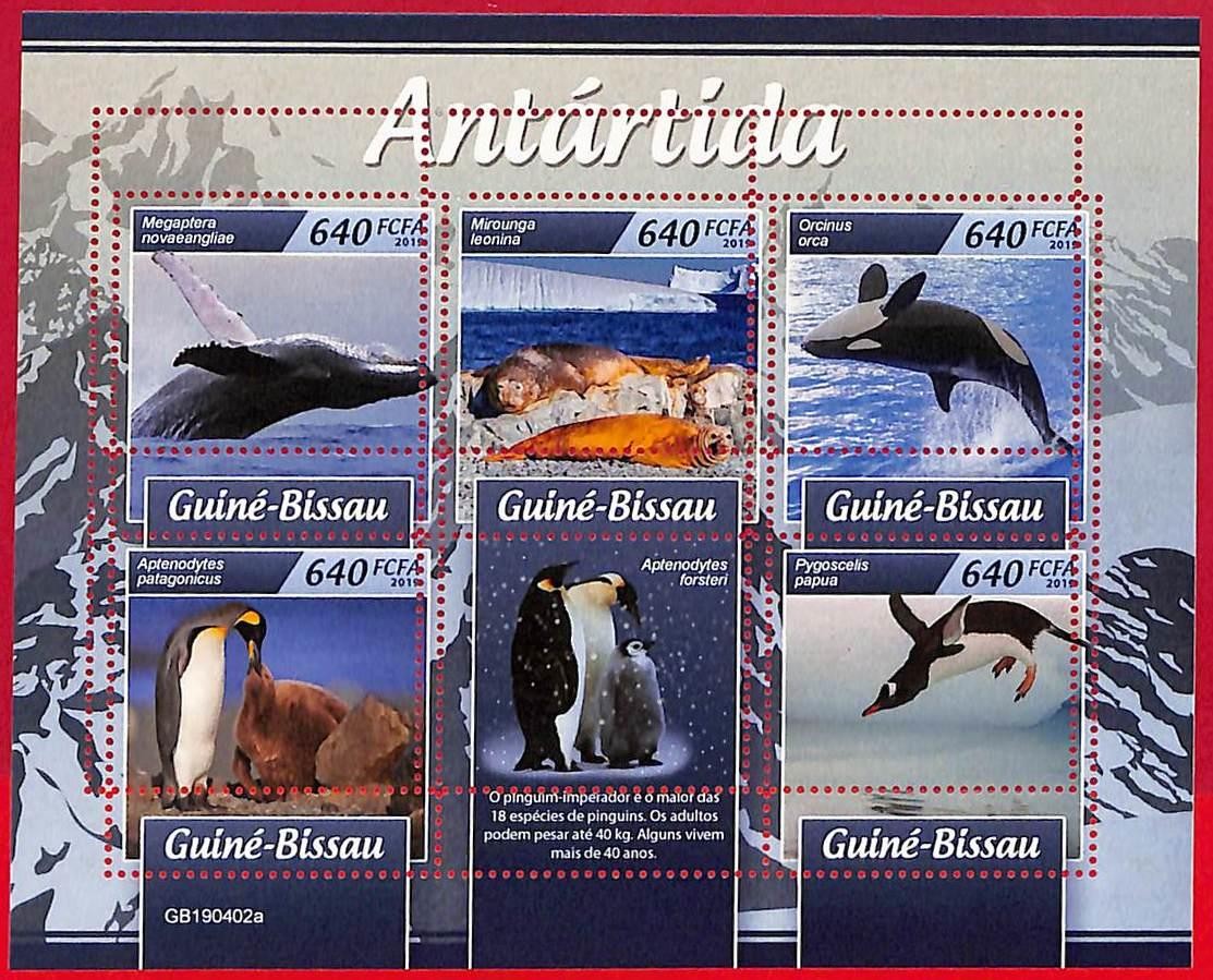 A5087 - GUINE-BISSAU - ERROR MISPERF Stamp Sheet - 2019 - Animals, Antarctica
