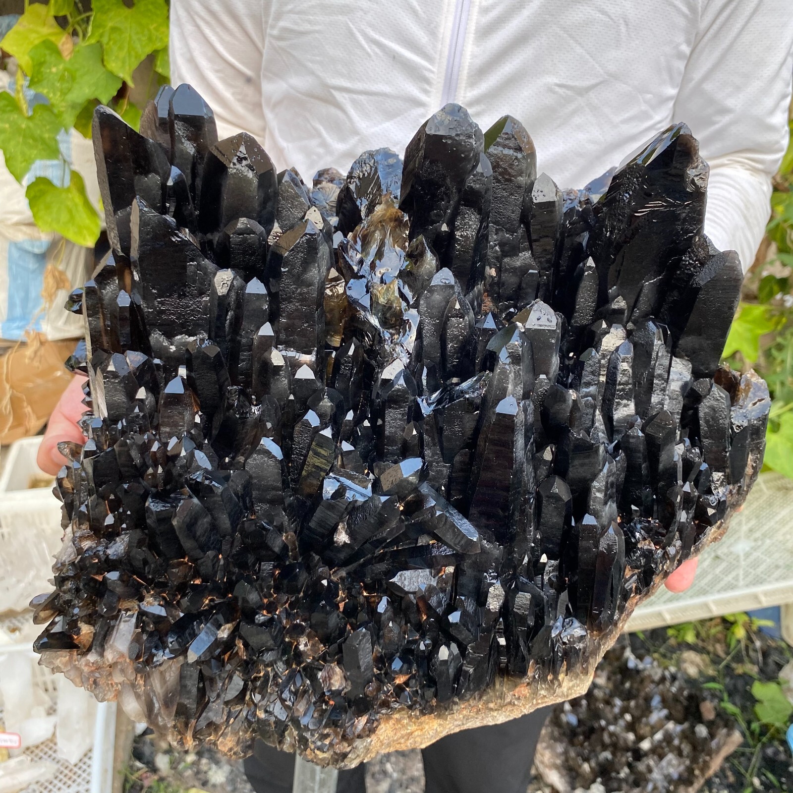 19200g Large Natural Black Smoky Quartz Crystal Cluster Rough Mineral Specimen