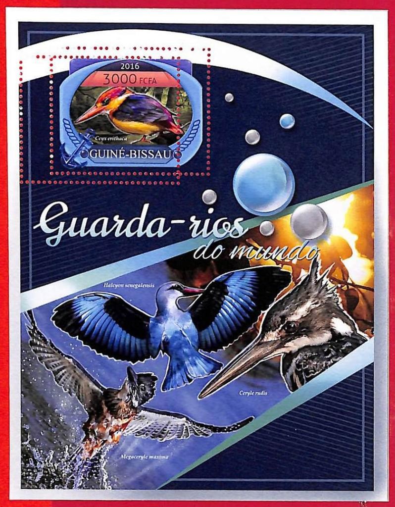 A5339 - GUINE-BISSAU - ERROR MISPERF Stamp Sheet - 2016 - Birds of the world