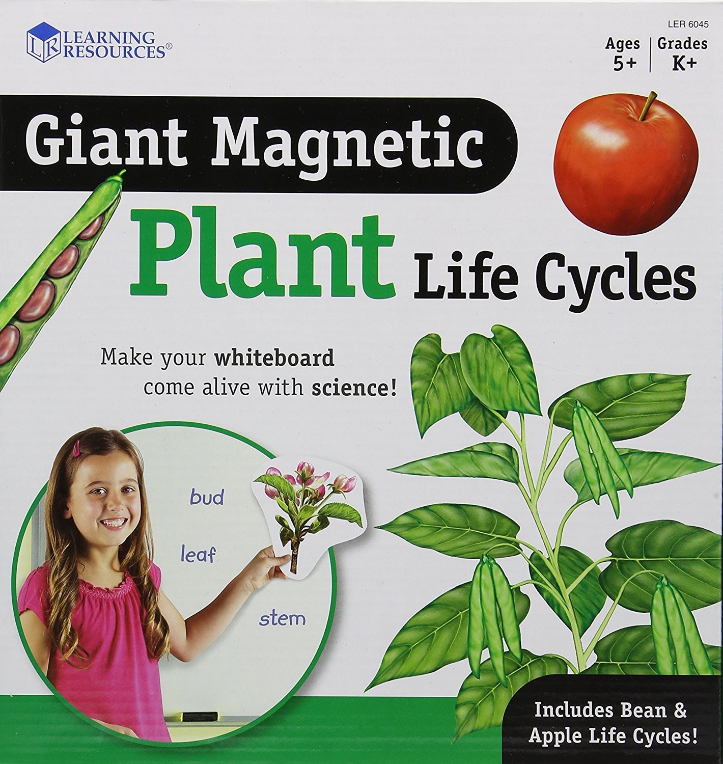 Learning Resources Giant Magnetic Plant Life Cycle - STEM Growing Seed Montessor