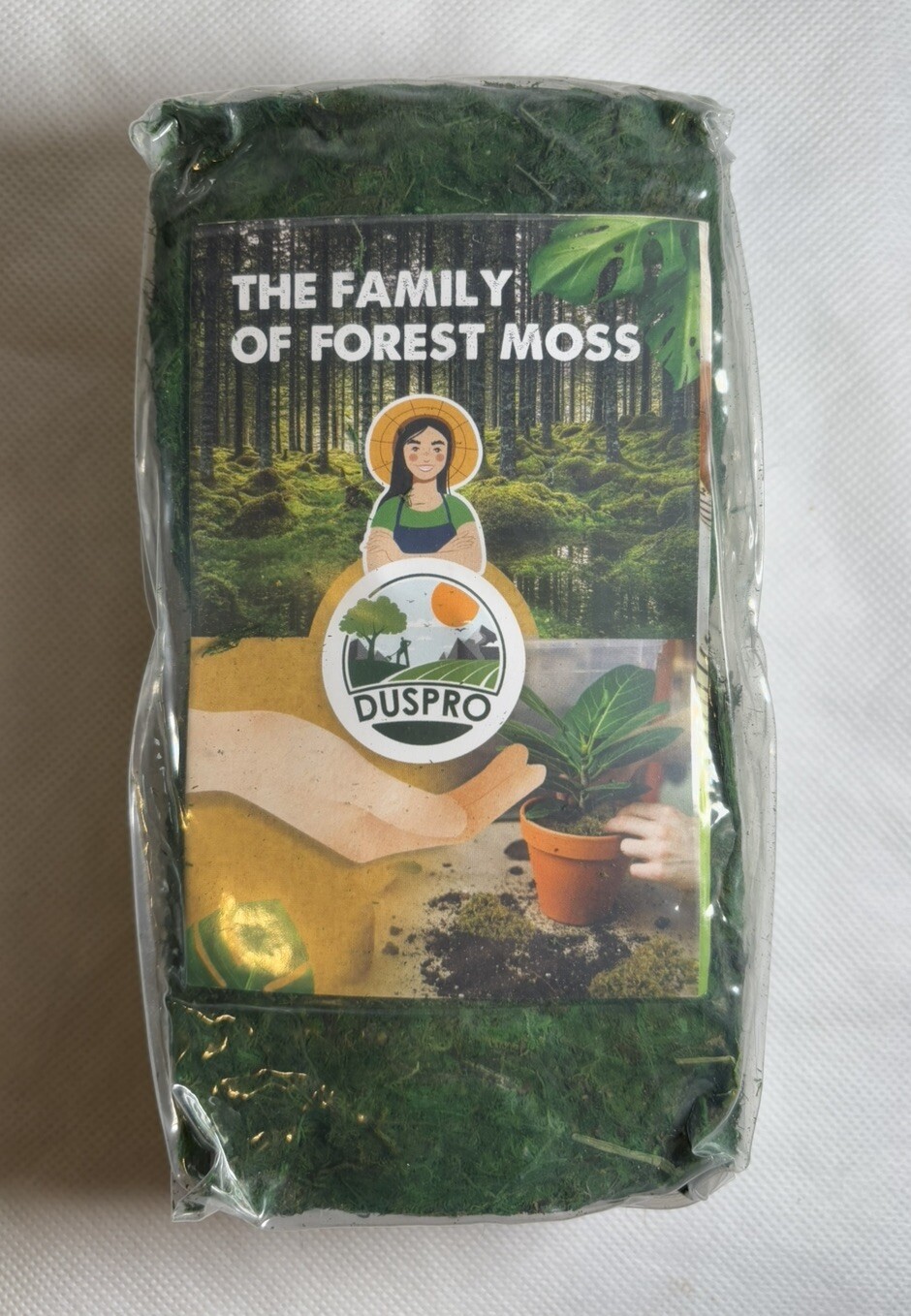 DUSPRO Green Moss Crafts Decorative Moss Filler for Planters Decor 10 Oz (280 g)