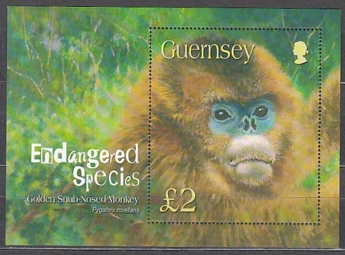 Guernsey - Yvert 53 ** MNH Fauna