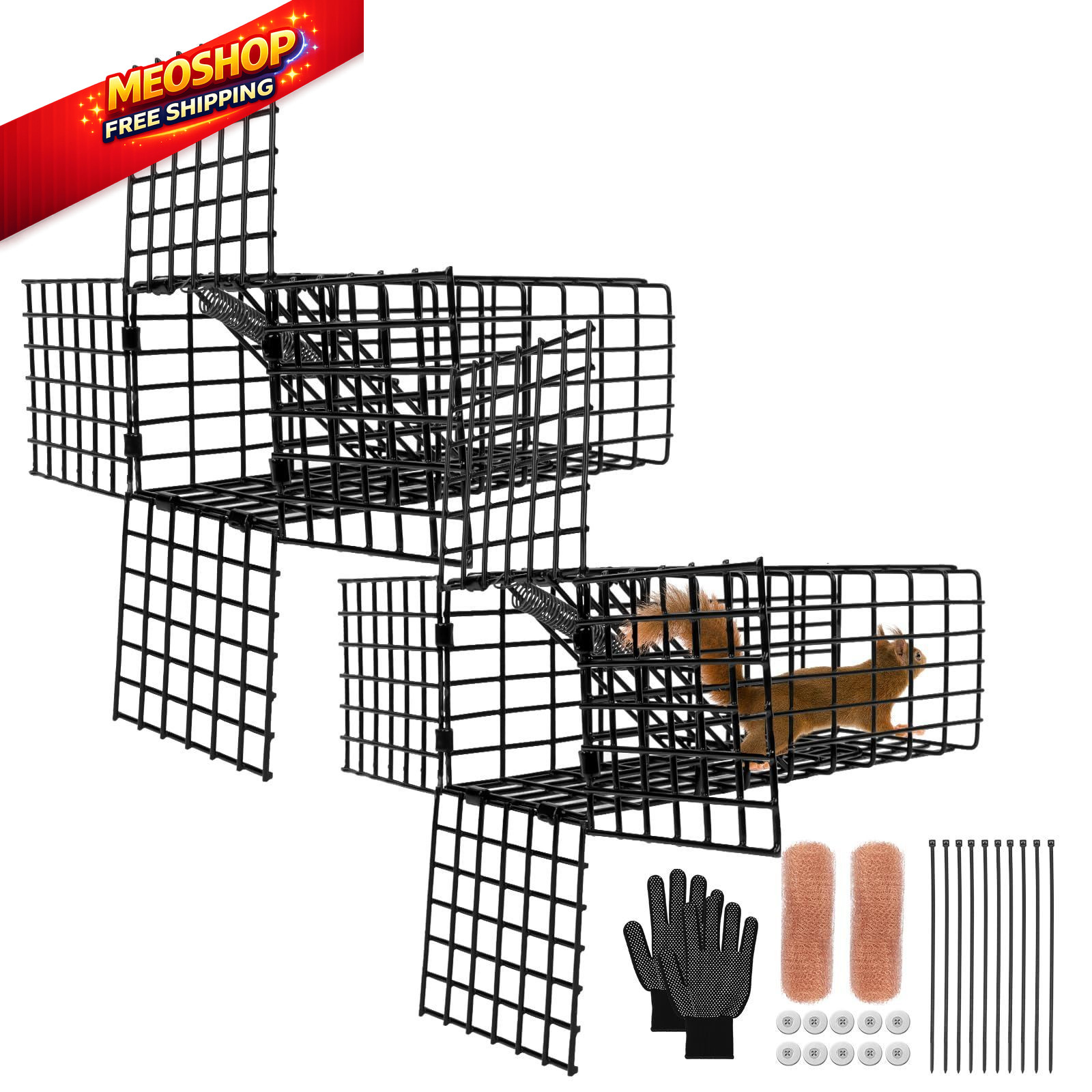 Lettry 2 Packs One Way Squirrel Door, 3"x3"x9" Black Wildlife 2 Packs, 