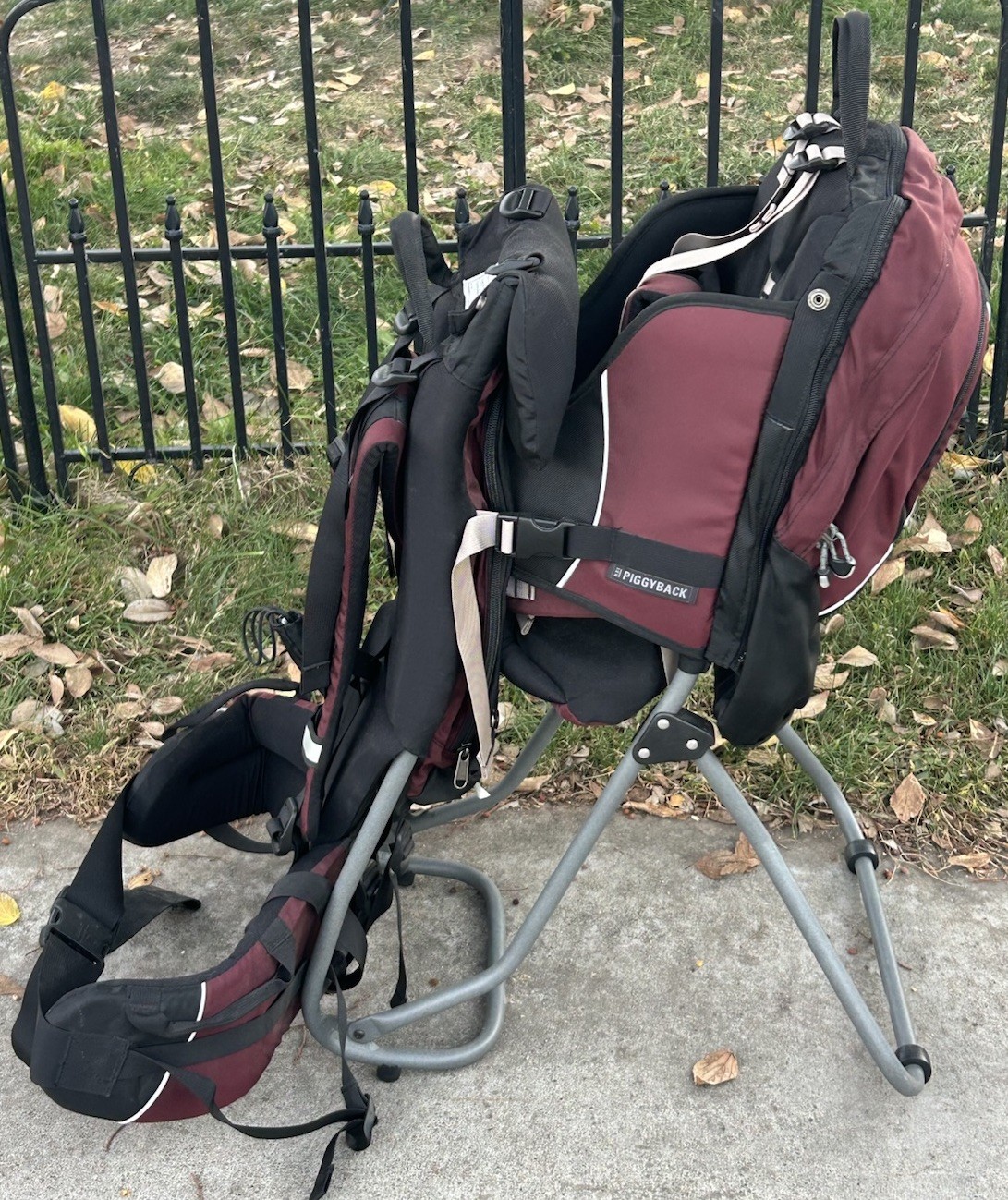 REI Piggy Back Baby Carrier w/ Mirror Removable Backpack Hiking Kids Toddler