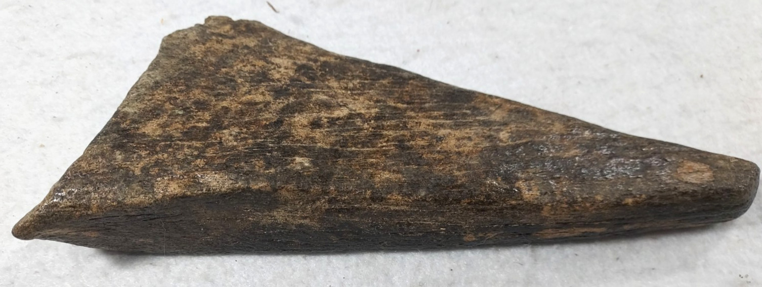 Mammoth or Mastodon Bone Fossil from Ice Age