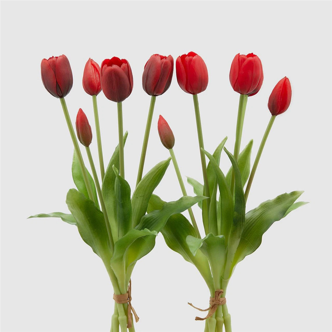 Tulipano Gomm. Olis Mazzo 5pz H. 40 Cm Red