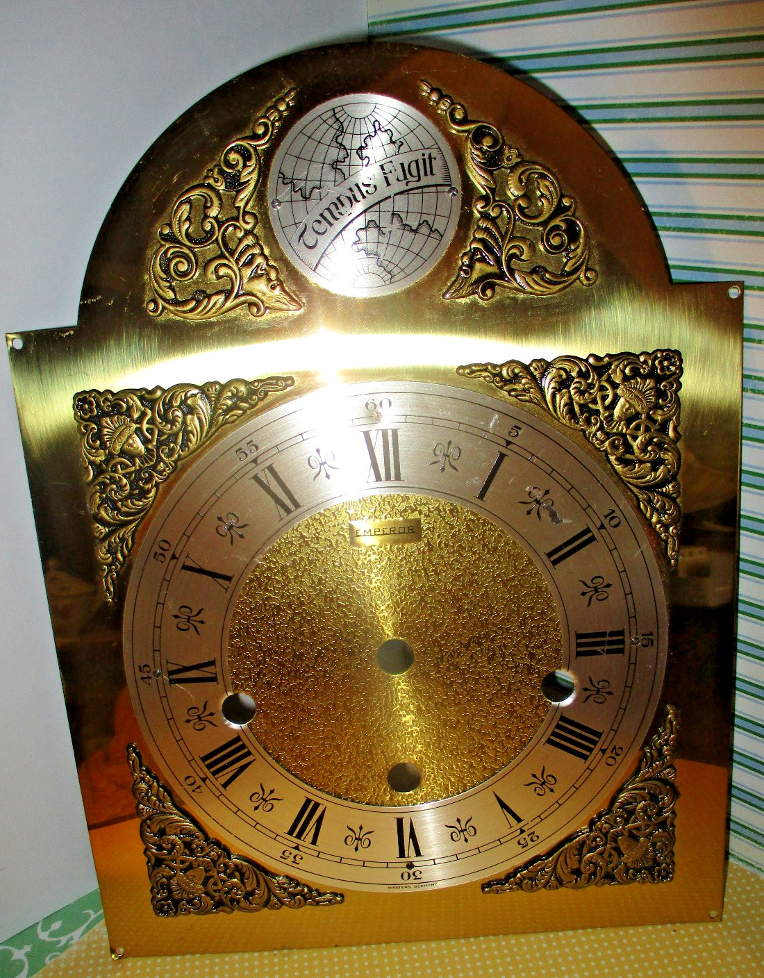 Vintage Brass Face Grandfather Mother Clock Replacement Dial 10 x 8 Tempis Fugit