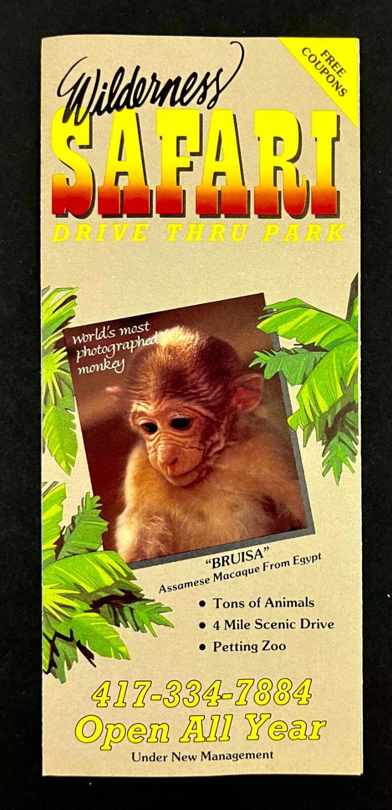 1990s Wilderness Safari Drive Thru Park Branson MO Vintage Travel Brochure Map