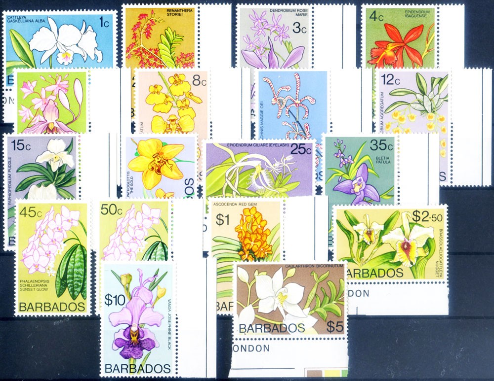 Definitive. Orchid 1974-1977.