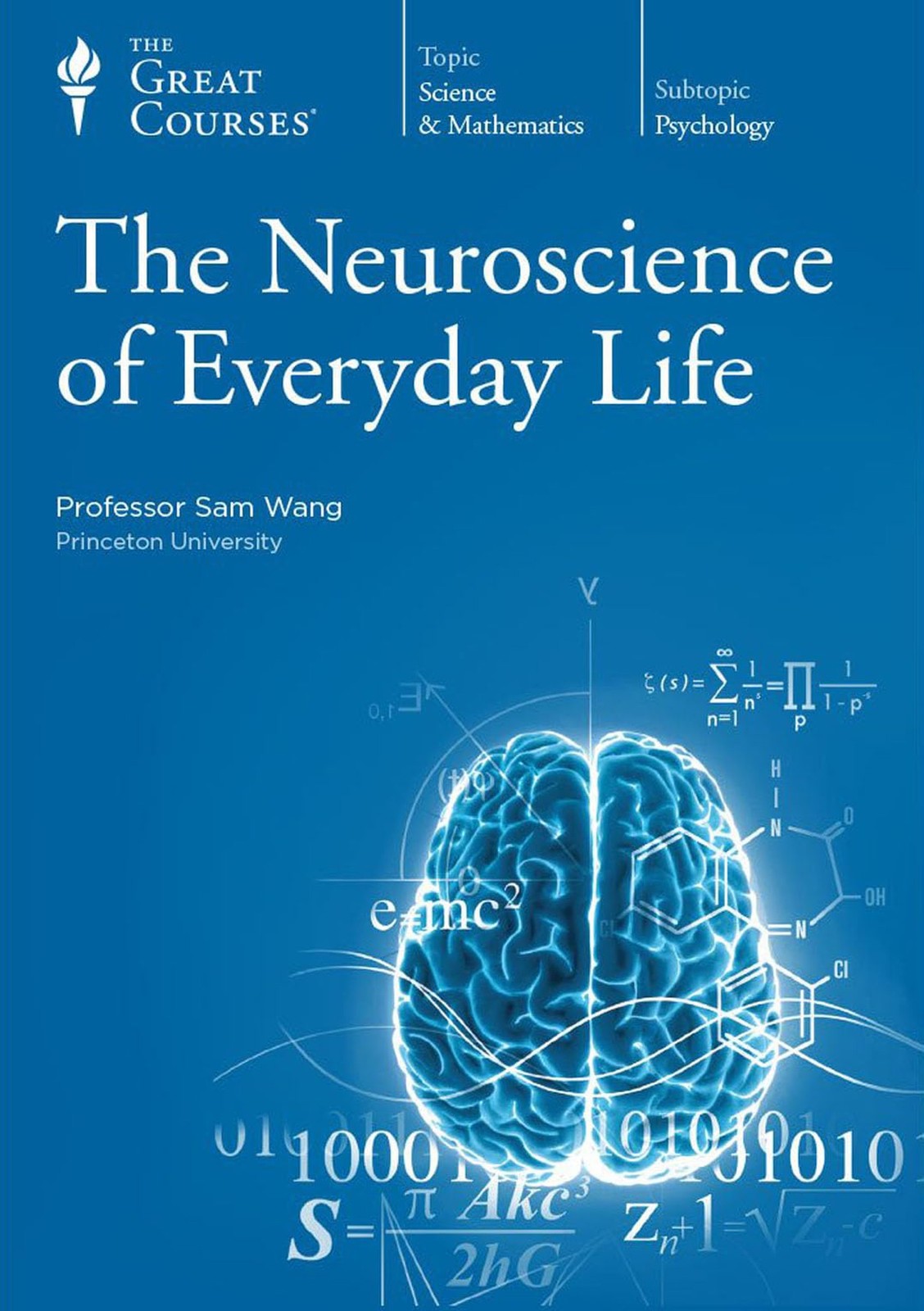 The Neuroscience of Everyday Life