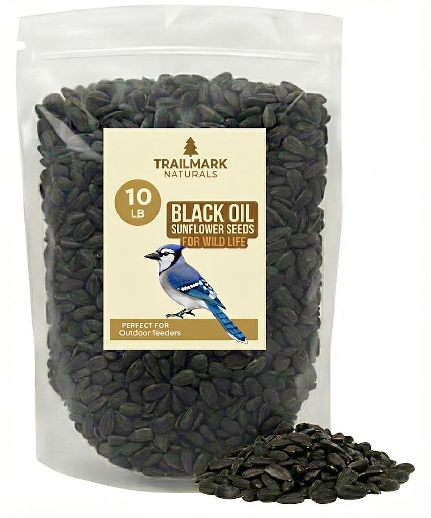 Black Oil Sunflower Seeds 10lb for Birds | Non-GMO Wildlife Food