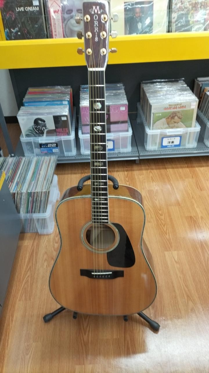 Morris Tf-801 Acoustic Guitar Safe delivery from Japan