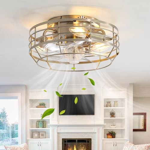 Caged Ceiling Fan with Light and Remote, Flush Mount Fan Lights Brushed Nickel