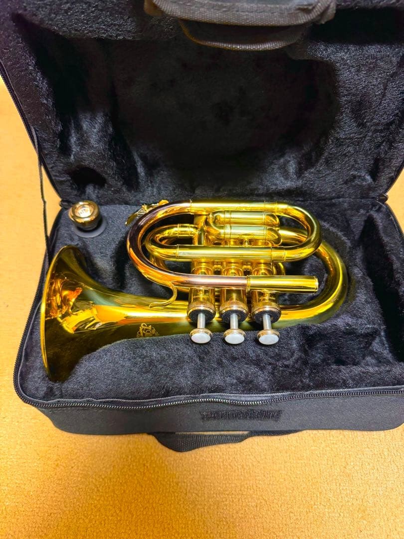J.Michael pocket trumpet brass instrument sound output confirmed