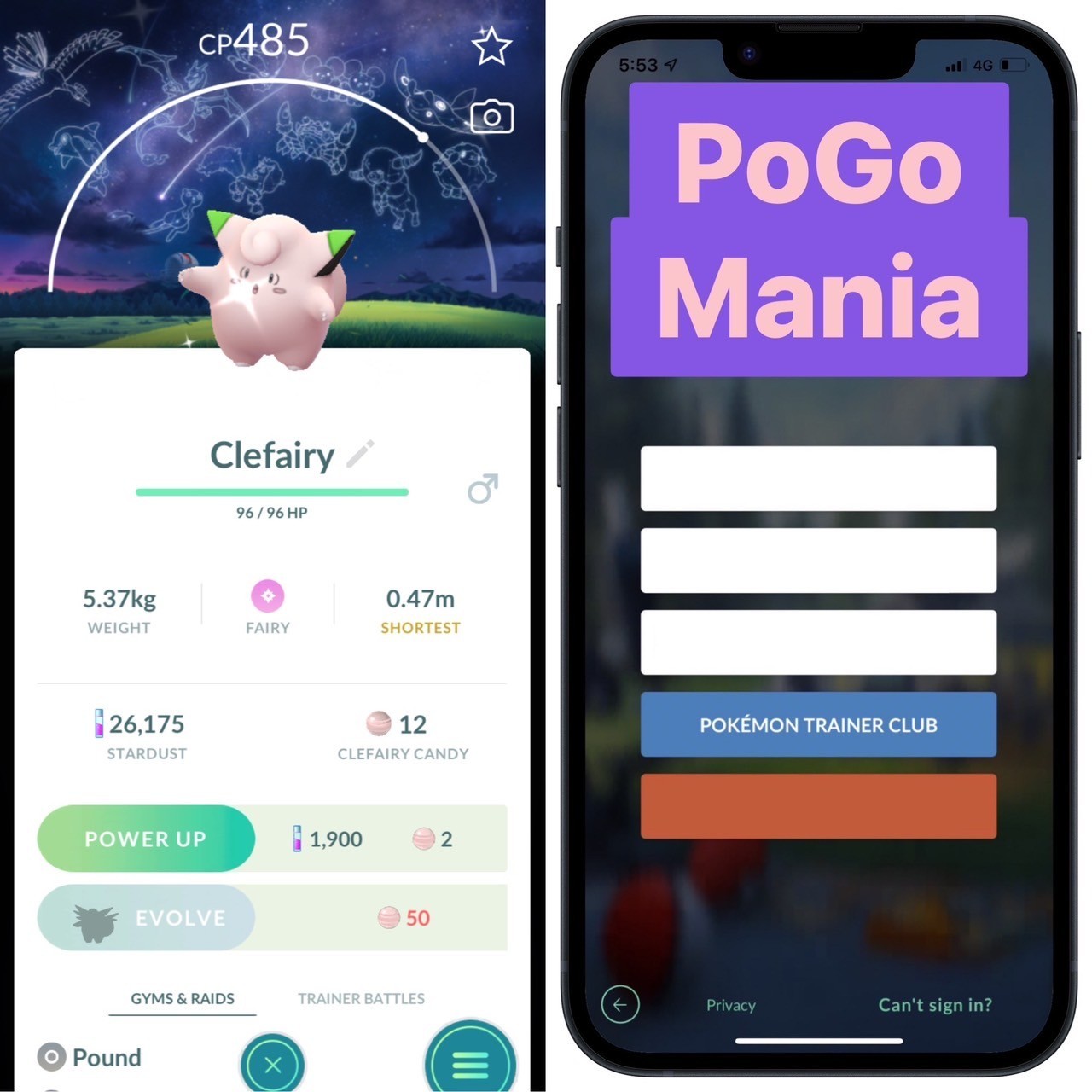 Shiny Clefairy (male)✨Astronomical Observatory Special Background✨mini PTC 20k✨