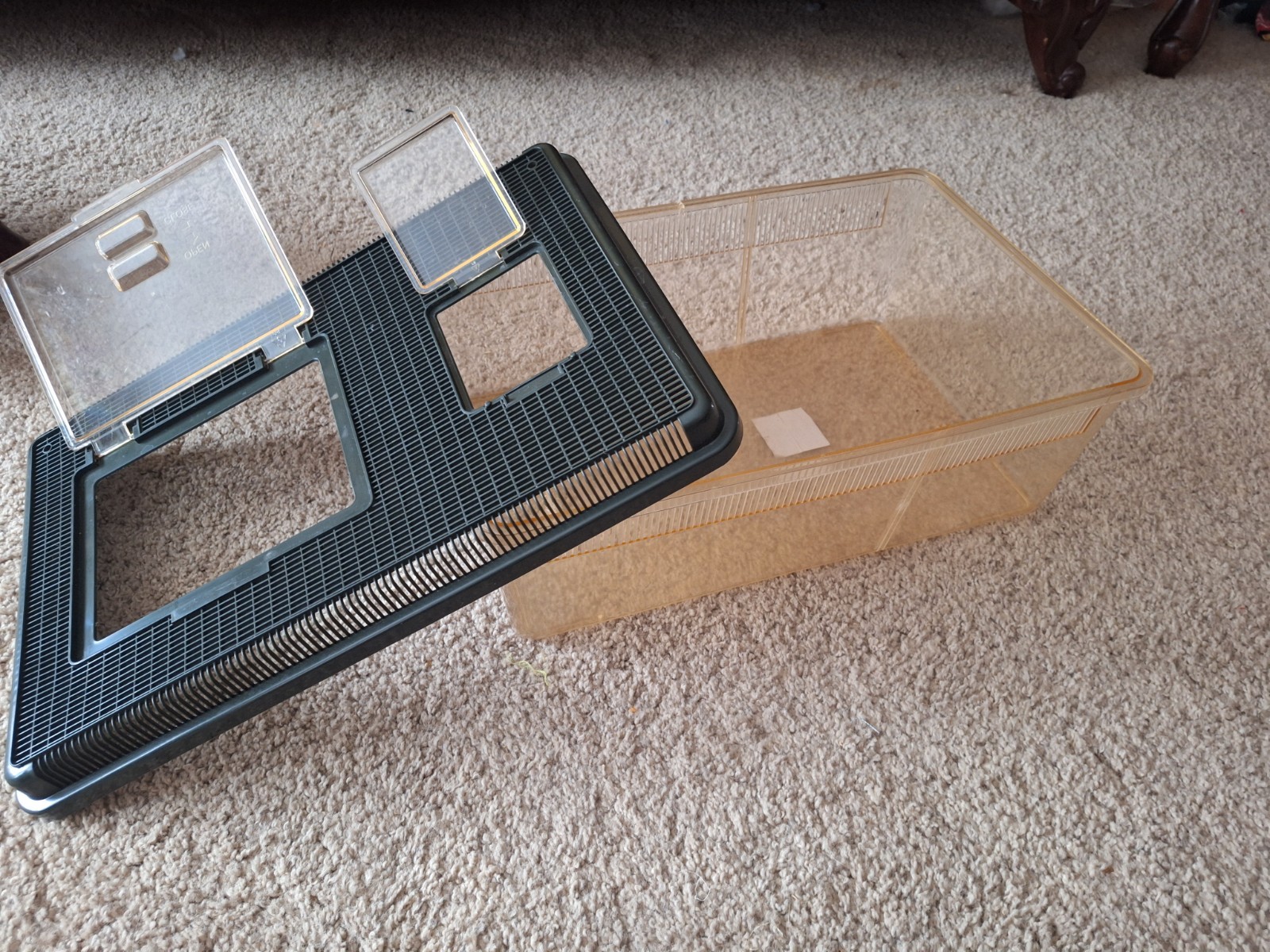 ~5 gallon critter tank