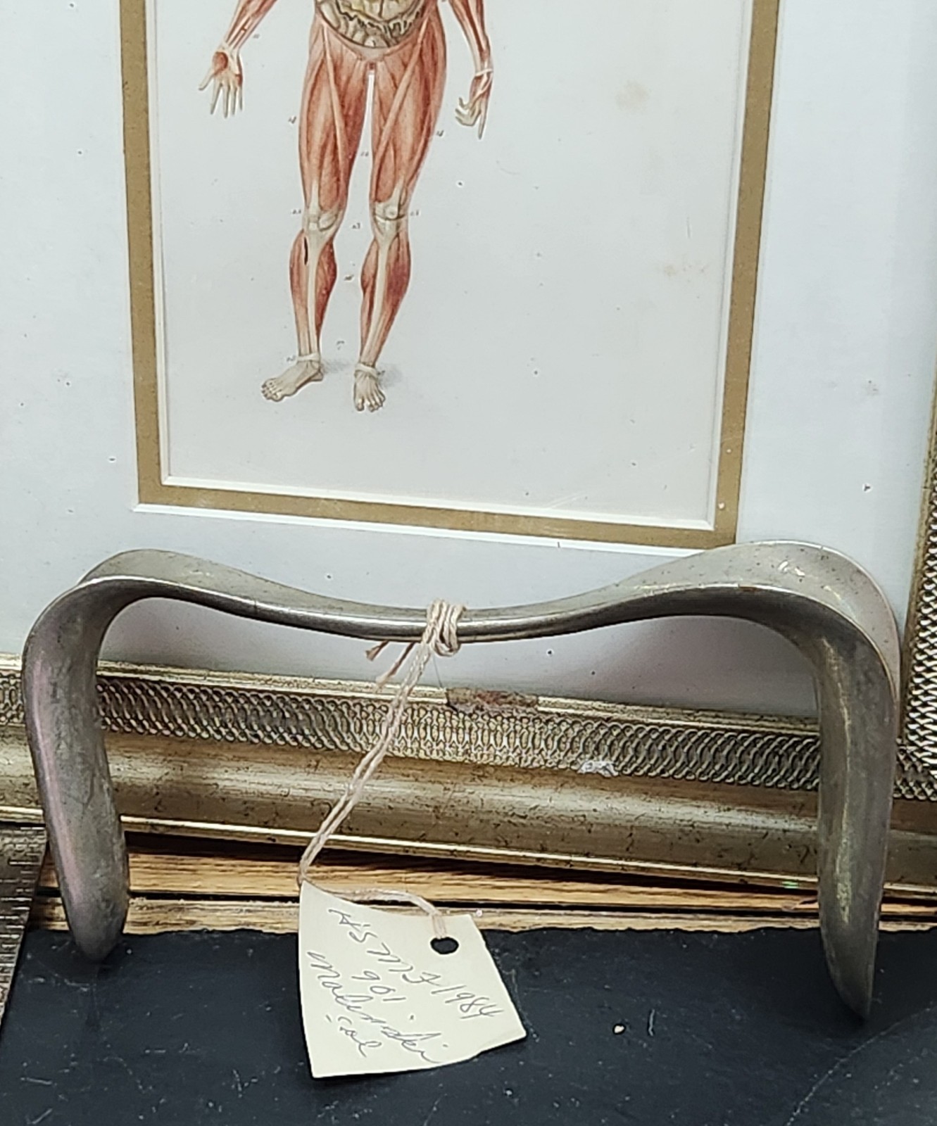 Antique Large Orthopedic Surgical Retractor Stainless Steel c.1900–1920 Oddity 